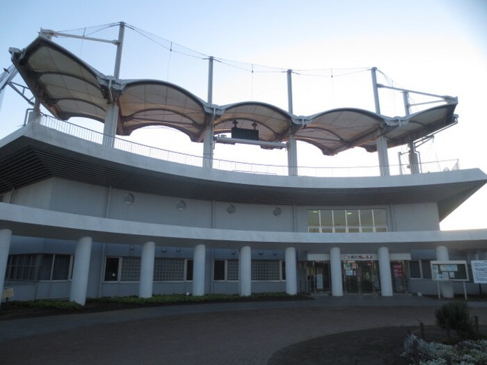 茅ヶ崎公園野球場(公園)まで270m surfline chigasaki