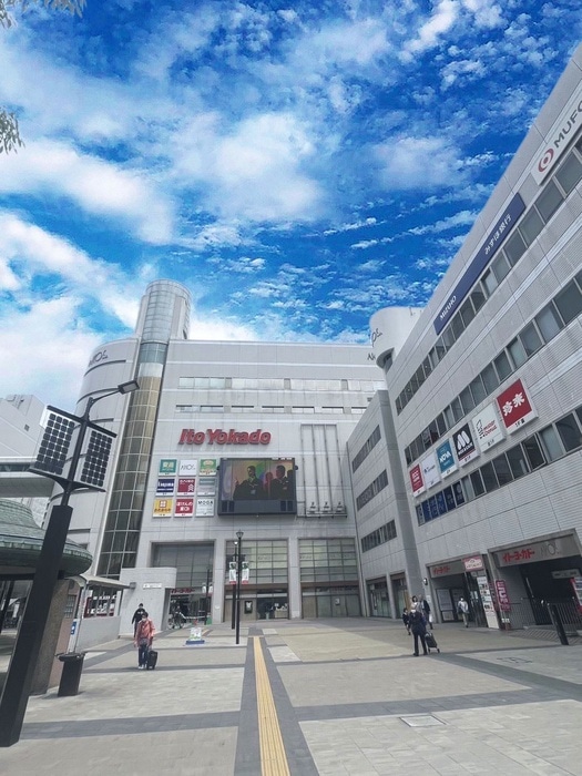 イトーヨーカドー草加店(ショッピングセンター/アウトレットモール)まで850m シャルマン草加Ⅱ