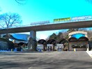 多摩動物公園(公園)まで1000m サンウッドメイツ85