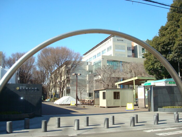 東京農工大学(大学/短大/専門学校)まで1860m ハイツガ－デニア２号館