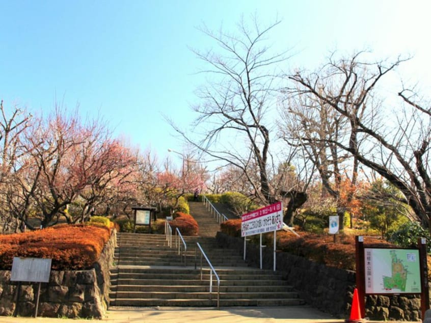 世田谷区立羽根木公園(公園)まで800m ハラスパジオ下北沢