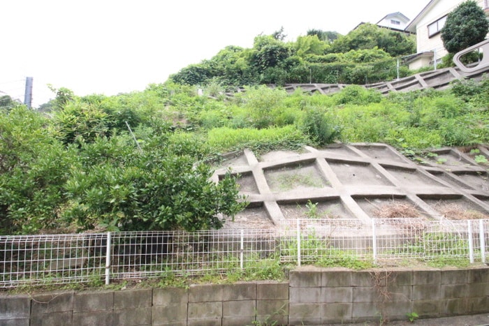 室内からの展望 フォレスト Ｋ