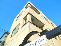 プラザ・オードリー