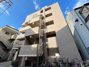 Ｍａｉｓｏｎｅｔｔｅ　ＨＡＲＵ