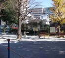 住吉公園(公園)まで90m ALERO市谷台町