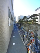 駐輪場 エクセレンテ