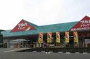 ツルハドラッグ大口店(ドラッグストア)まで302m 朝日プラザ大口(205)