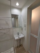 洗面 ミント杉田