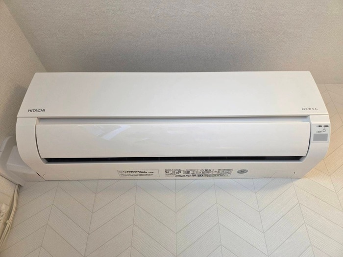 内観写真 ミント杉田