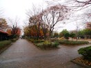 青葉台公園(公園)まで500m メイゾン司