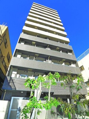 メインステージ亀戸Ⅱ（501）