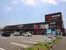 ビバホーム(電気量販店/ホームセンター)まで600m シャンブル英美Ⅳ