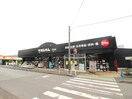 トライアルBOX(スーパー)まで764m メゾンディアスⅠ