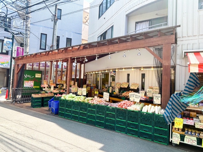 モイキートス(スーパー)まで140m Villetta稲田堤A