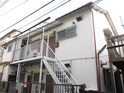 完成写真