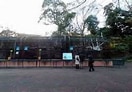 野毛山動物園(公園)まで700m クレスト西戸部