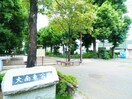 大南東公園(公園)まで166m 武蔵村山市大南5丁目貸家