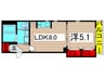 Solaris 1LDKの間取り