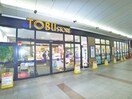 東武ストア(スーパー)まで1040m Wisteria
