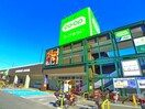 コープ(スーパー)まで1280m Wisteria