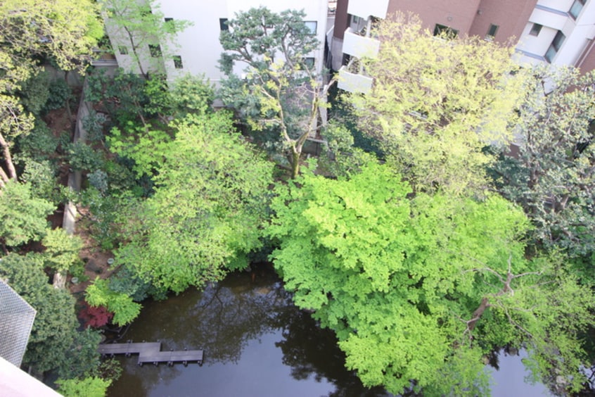 室内からの展望 トーア駒込マンション(1104)