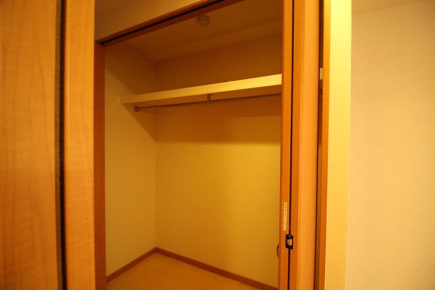 収納 Ｃｈａｓｔａｎｅａ