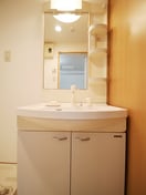 洗面 ルネシェスタ