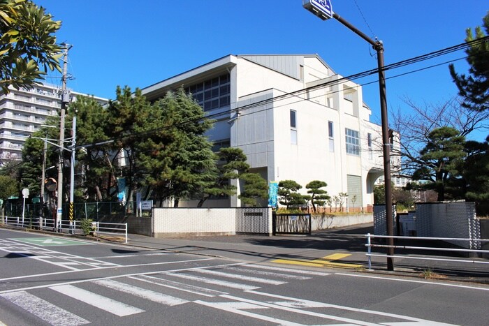 松原小学校(小学校)まで550m コスモパレ湘南