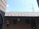 室内からの展望 樫の木ハイツ