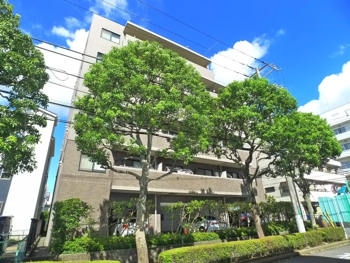 外観写真 アネシス西葛西