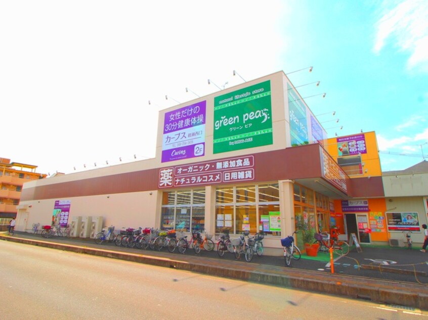 グリーンピア(ドラッグストア)まで450m Regalo　Natsume