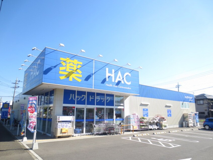 ハックドラッグ藤沢遠藤店(ドラッグストア)まで348m 拓殖ハイツ