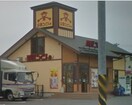 山田うどん 藤沢田方町店(その他飲食（ファミレスなど）)まで392m 拓殖ハイツ