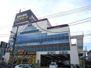 ドン・キホーテ日吉店(ディスカウントショップ)まで973m ベルレジデンス日吉