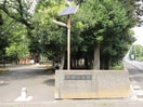 下馬中央公園(公園)まで369m seagull court 下馬