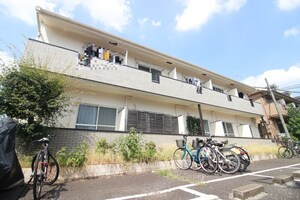 アザレアキタノ
