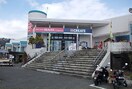 ビーバートザン小田原店(電気量販店/ホームセンター)まで450m ソレアード・カミノ