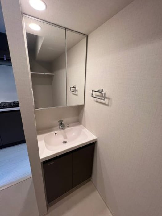 洗面 DIPS東十条駅前REDIDENCE (306)