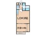 雑司ヶ谷プレイス 1LDKの間取り