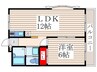 カーサイマイ 1LDKの間取り