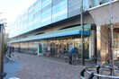 Ｆｕｊｉスーパー矢野口店(スーパー)まで900m ロイヤル稲城(1～8号室)