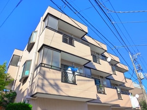 ハイムタマル