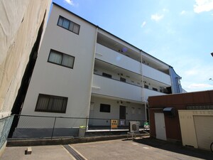ワイズハマ