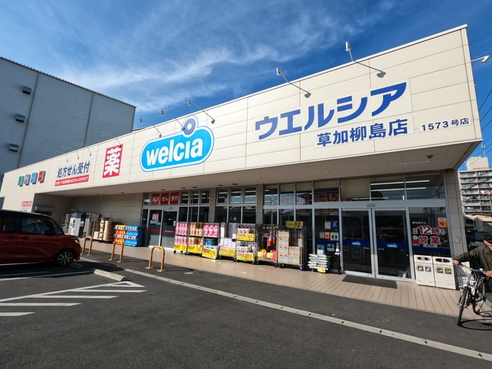 ウエルシア(ドラッグストア)まで200m ワイズ