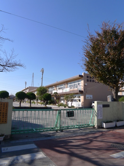 新里小学校(小学校)まで620m ワイズ