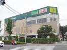 いなげや武蔵野関前店(スーパー)まで450m デュエット新町