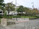 大久保三丁目公園(公園)まで170m ピュアハウス