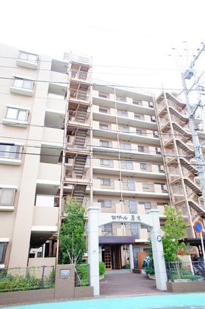 セザール厚木（８０４）