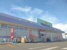 ウェルパーク練馬上石神井南店(ドラッグストア)まで250m サンハウス