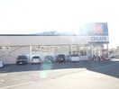 クリエイト中新田店(ドラッグストア)まで900m Park Vina Ⅱ